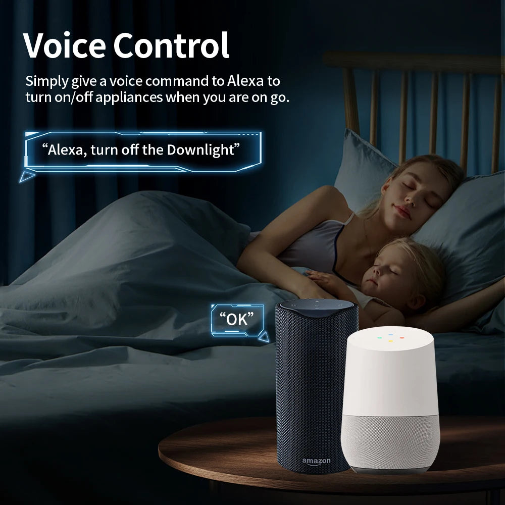 Plug wifi Smart Socket 16/20A Power (Voice Control Works With Alexa Google Home)